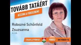 Robozné Schőnfeld Zsuzsanna képviselőjelölt bemutatkozója