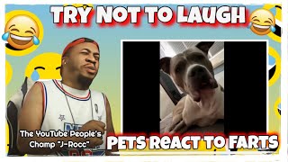 Cats & Dogs Reactions to FARTS - Try not to Laugh Challenge