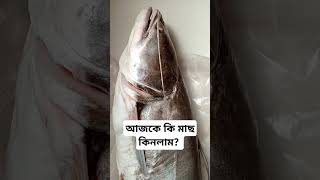 আজকের মাছ বাজার।।Fish price updates/2024