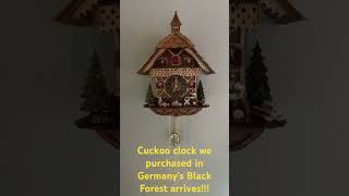 Cuckoo Clock we purchased in Germany’s Black Forest arrives #rivercruise #viking #rhineriver