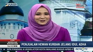 Tips Memilih Hewan Kurban