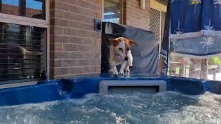 Lucy loves launching into the spa