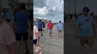 Rehoboth Beach Boardwalk