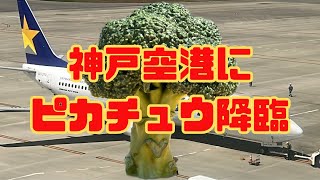 【神戸空港】スカイマークのあの機体とこの巨大ブロッコリーはいったい何ですか？