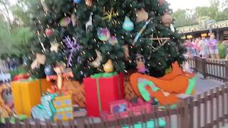 Christmas At Disney's Animal Kingdom!