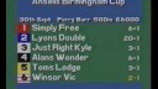 1993 Birmingham Cup