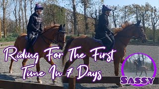 Riding For The First Time In 7 Days | AS Equestrian