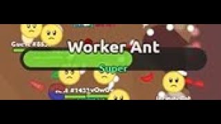 (florr.io) "A Super Worker Ant has spawned!".