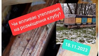 18.11.23 перший сніг, рожміщення бджолинниго клубу #карніка #carnika на початку зимівлі #bee #mitla