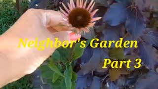 Neighbor's Garden Part 3