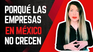 ¿Por qué las empresas en México enfrentan dificultades para crecer por falta de financiamiento?