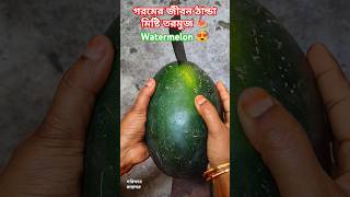 গরমে জীবন ঠান্ডা তরমুজ 🍉 watermelon fruit #fruit #viral #shorts #dhana #short