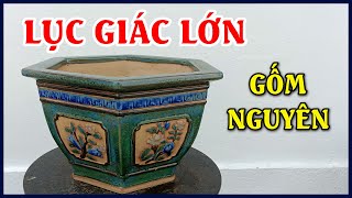 RA MẮT Chậu Lục Giác Lớn gốm Nguyên Phát - POSCOM