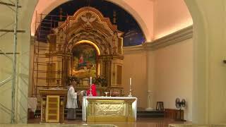 05  JULY 2024 |THE HOLY MASS |FRIDAYOF 13th WEEK IN ORDINARY TIME