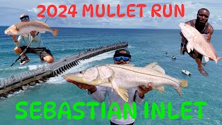 1,000,000's of MULLET getting DESTROYED, SEBASTIAN INLET FISHING FRENZY!