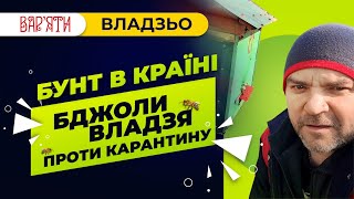 Надзвичайні новини! Пасіка Владзя не на карантині!