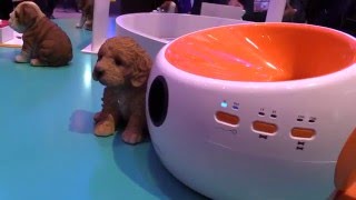 Wearable technology for dogs at MWC 2016