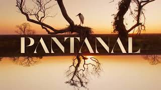 Pantanal (2022): Vinhetas de Intervalo