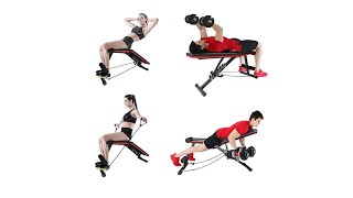 Purpose Bench for Full Body Workout 2022