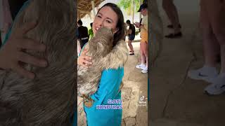 Roatan, Honduras cruise ship excursion with sloths. #pets #islandlife #travel #cruiselife