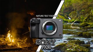 SONY FX30 | Nature Day & Night Test Footage