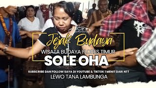 SOLE OHA DESA LAMBUNGA SERUNYA BIKIN NAGIH #soleoha #namang #sole #oha