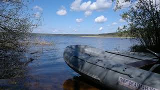 Прямая трансляция пользователя Дмитрий Баранов