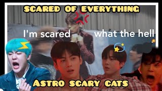 Astro (아스트로) Being A Scary Cats | scared of everything 모든 것을 두려워하여