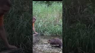 The beaver wants to get revenge from the man #shorts #wildlife #beavers #rescueanimals #animals