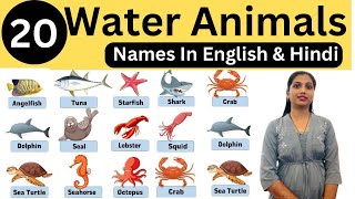 Water Animals Name Hindi and English | पानी में रहने वाले जीवो  के नाम | Sea Animals Names