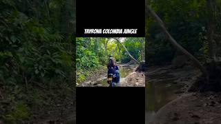 Tayrona Colombia Jungle #jungle #trailriders #colombia #tayrona #dirtbikeride #travel #jungles