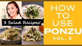 3 Easy PONZU salad recipes! | How to Use Ponzu vol.2