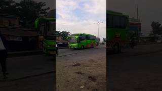 bus medium asik puspa jaya#shorts#bus#buslover#busmedium#viral