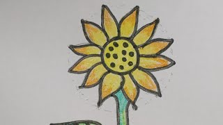 Drawing||Sunflower drawing|| How to draw a sunflower #sunflowerdrawing #sunflower