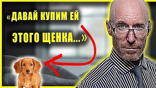 "Ты с дубу рухнул?! Собаки в моём доме не будет!" / история из жизни