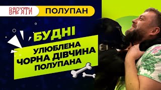 Будні Сергія Полупана. Що говорити собаці?