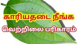 காரிய தடைகள் நீங்க வெற்றிலை தாந்திரீக பரிகாரம்