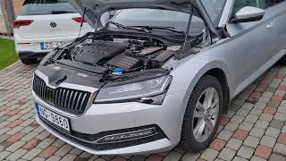 Skoda Superb | Листья в подкрыльниках |