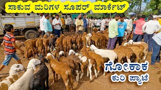 Gokak market - Super bazar for baby sheep