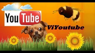 Ваши видео с ютуба на ViYoutube.com￼, что это за сайт?