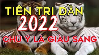 #33 TỬ VI TUỔI DẦN Năm 2022,ĐỔI MỆNH GIÀU NHANH CHÓNG MẶT