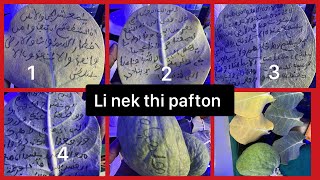 Secret yi nek thi pafton 78.138.38.70