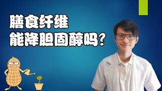 不同的膳食纤维，会有不同的效果？|【膳食纤维】花生健康医药 EP58