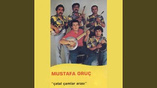 Avşar Kızları