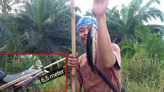 MANTAP!.. joran bambu 3 sambung 650cm untuk mancing ikan gabus tehnik getek BISA DIBAWA KEMANA SAJA