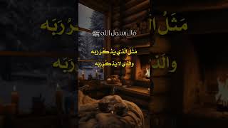 حـديـث نبــوي شريــف  🌴 #حديث_النبي #احاديث_نبويه #حديث_صحيح #أحاديث_الرسول  #رسول_الله   #fy #تصميم