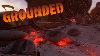 В ЛЕС НА ШАШЛЫКИ! ► Grounded #9