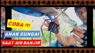 MANCING UDANG GALAH SAAT AIR BANJIR||UDANG BERKUMPUL DI SUNGAI KECIL||SHRIMP FISHING