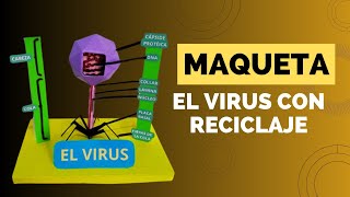 Como hacer una maqueta de El virus ♻🤩MVRC♻