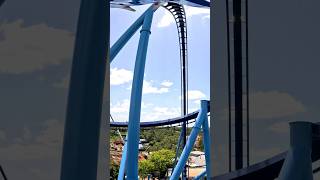 Super Intense Pretzel Loop! #rollercoaster #seaworld #orlando #amusementpark #short #shorts